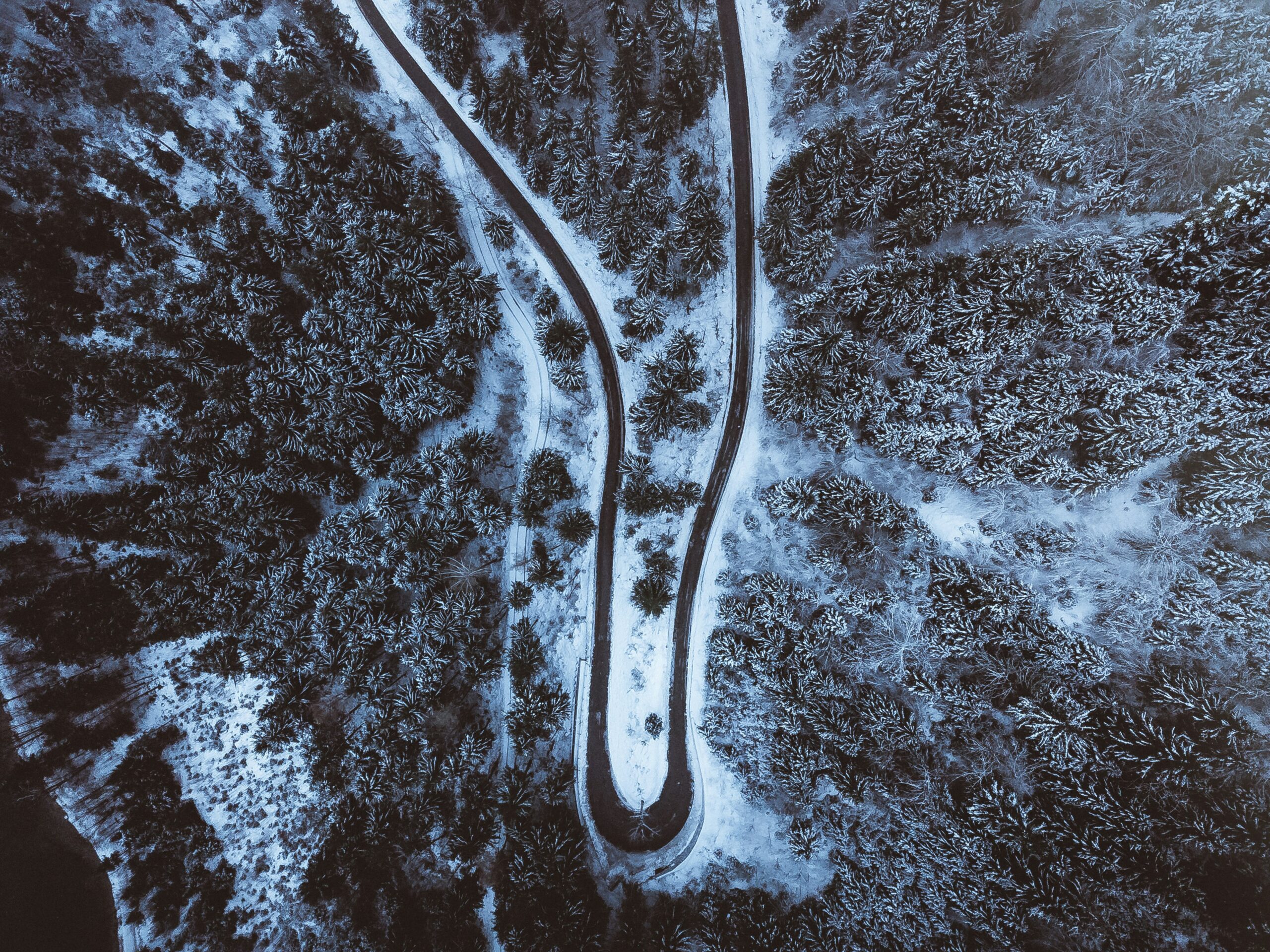 A photo showing asbestos fibers under a microscope, highlighting their hazardous nature.