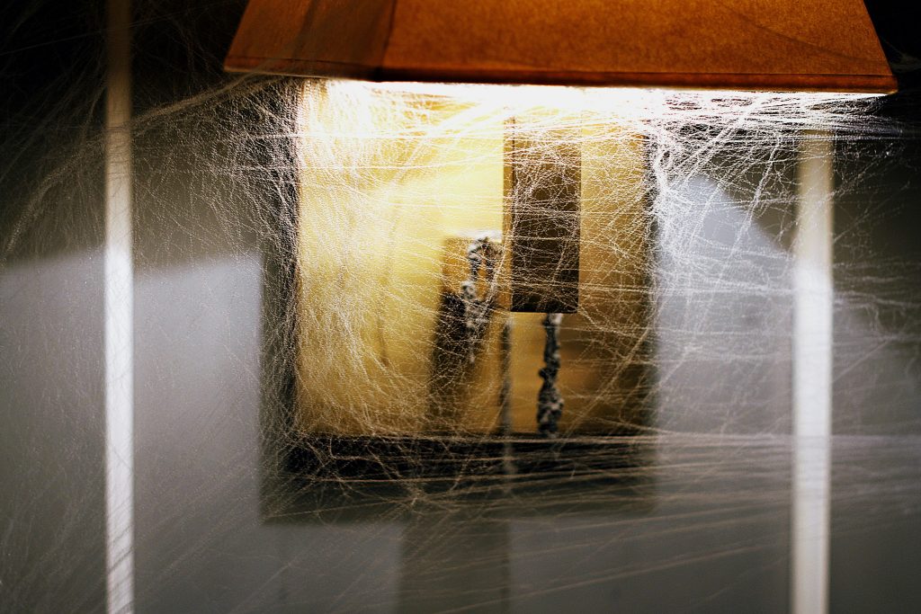 asbestos removal