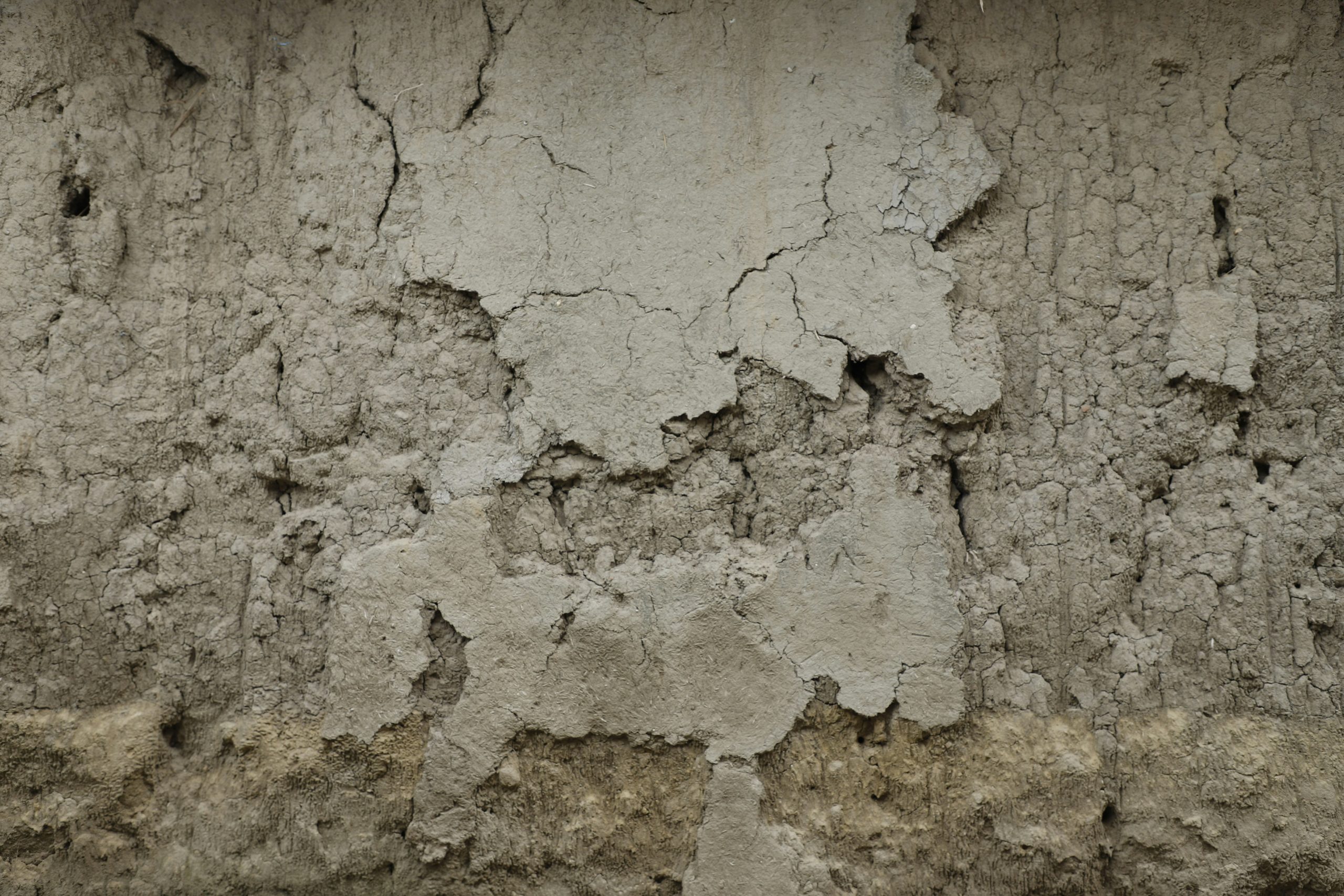 Chart comparing successful vs failed asbestos removal attempts