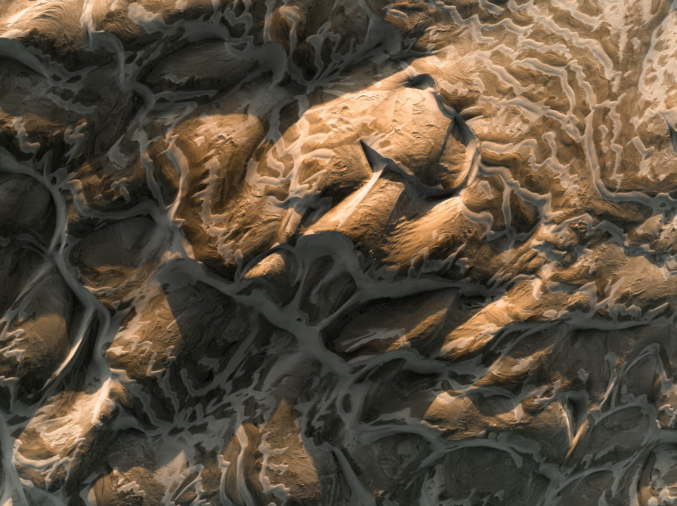 Microscopic view of asbestos fibers under a microscope.