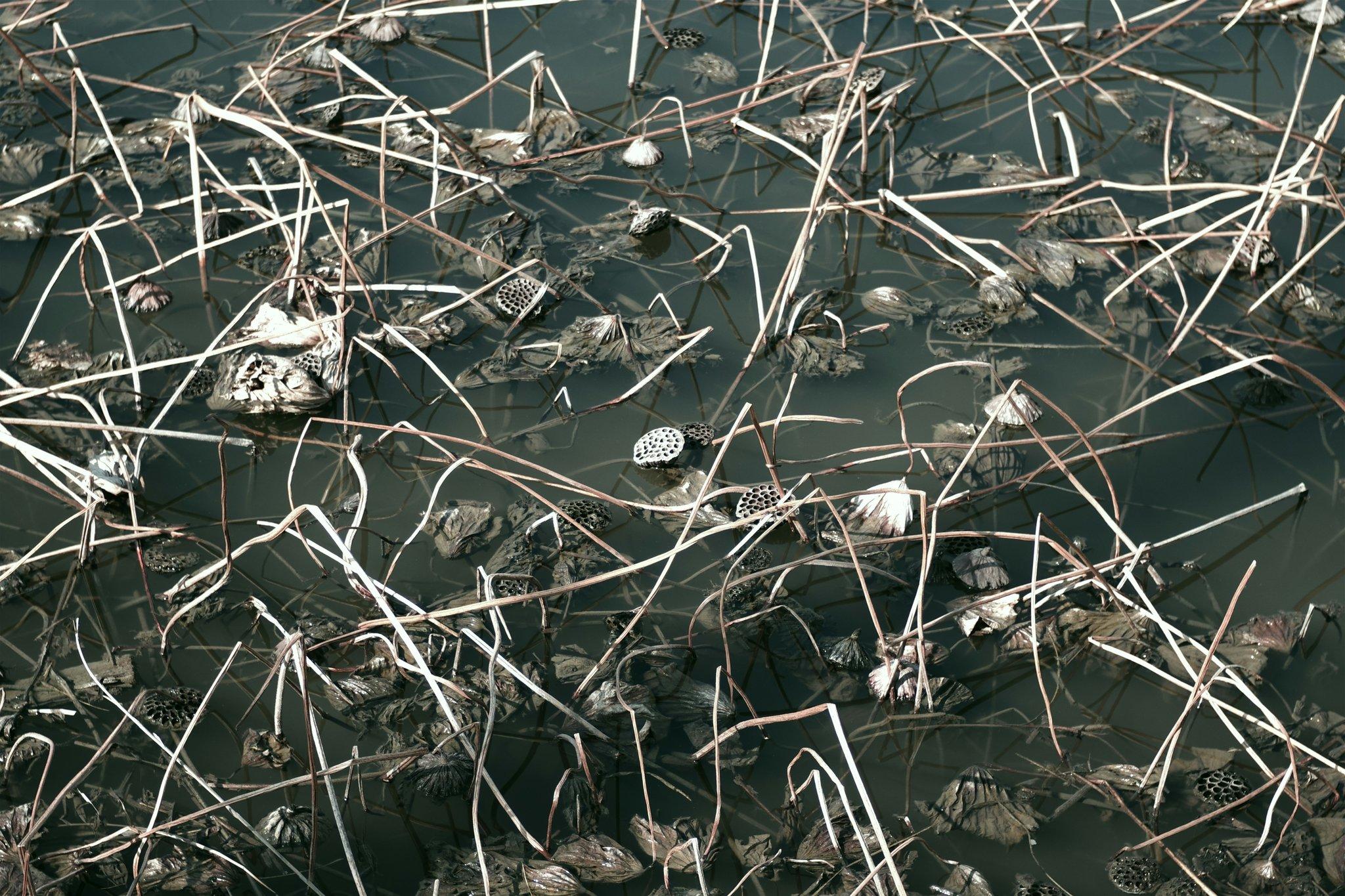 Asbestos Removal Funding: How to Secure Financial Support for Safe Abatement