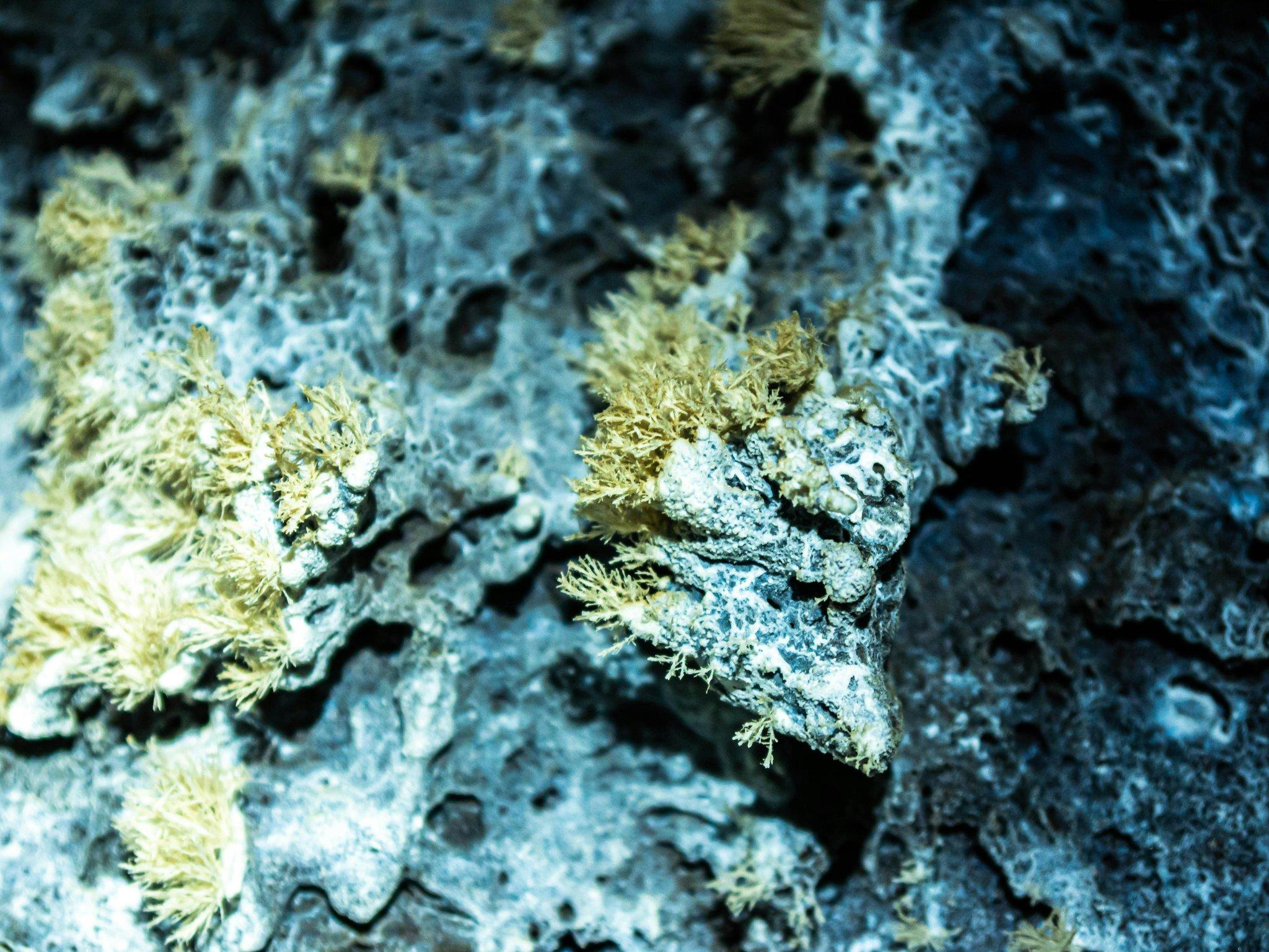 Infographic showing global asbestos exposure rates and related health issues